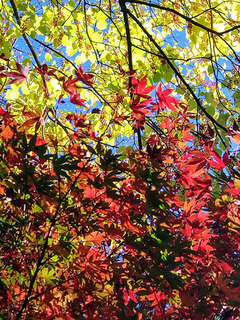DSC_1387~2.JPG